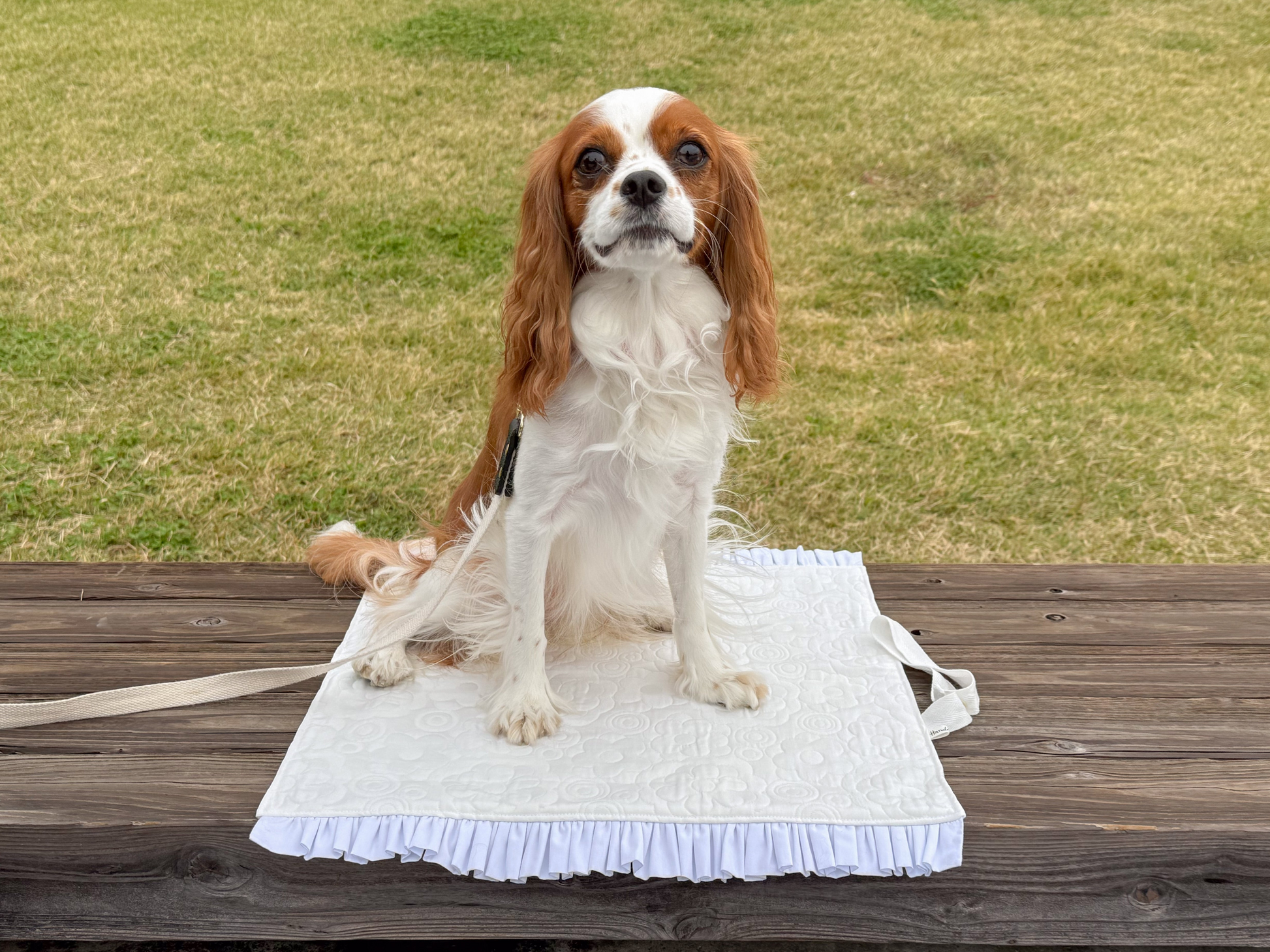 カフェマット使用例