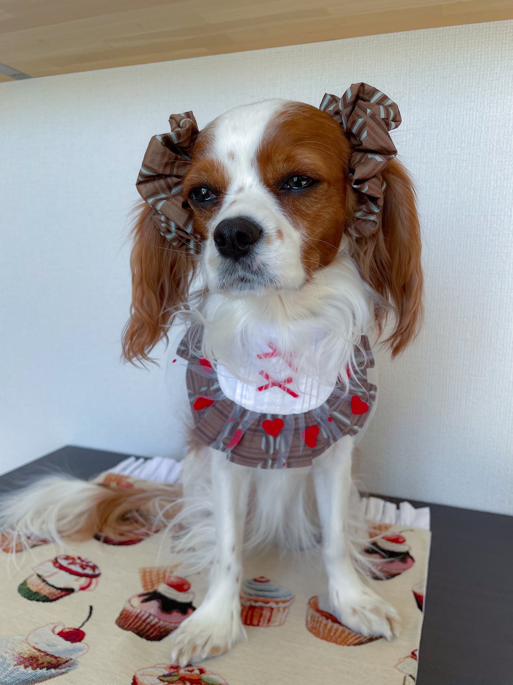 シュシュ・ビブ着用画像