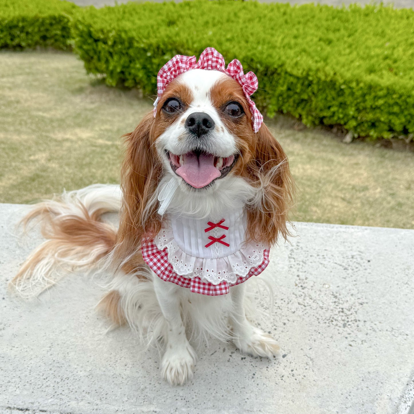 ピクニックチェックブラウス風ビブ・バブーシュカ着用例